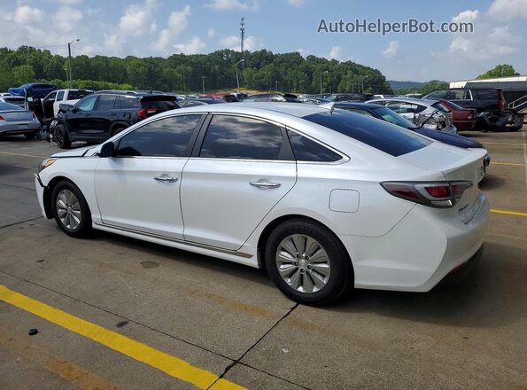 KMHE24L16GA022712 2016 HYUNDAI SONATA Белый Задняя левая четверть