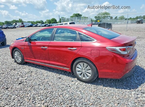 KMHE24L19GA016581 2016 HYUNDAI SONATA Red Tył lewy