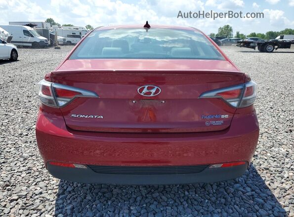 KMHE24L19GA016581 2016 HYUNDAI SONATA Red Widok z tyłu