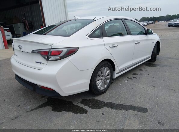 KMHE24L19GA038774 2016 HYUNDAI SONATA HYBRID White Tył prawy