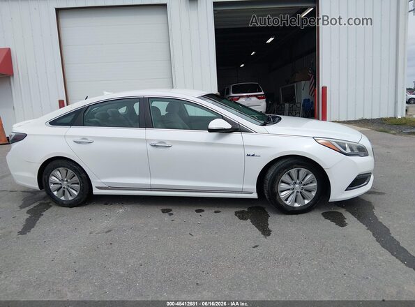 KMHE24L19GA038774 2016 HYUNDAI SONATA HYBRID White Widok wnętrza z tyłu