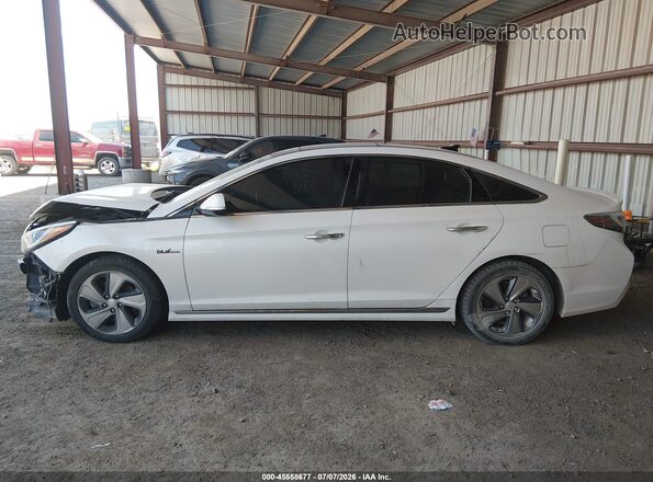 KMHE34L12GA012675 2016 HYUNDAI SONATA HYBRID White 