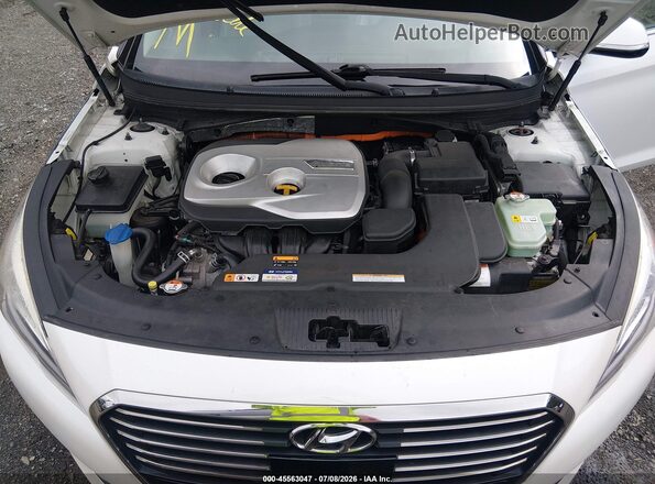 KMHE34L12GA033736 2016 HYUNDAI SONATA HYBRID White Вид ззаду