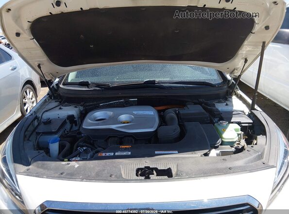 KMHE34L18GA034616 2016 HYUNDAI SONATA HYBRID White Вид ззаду