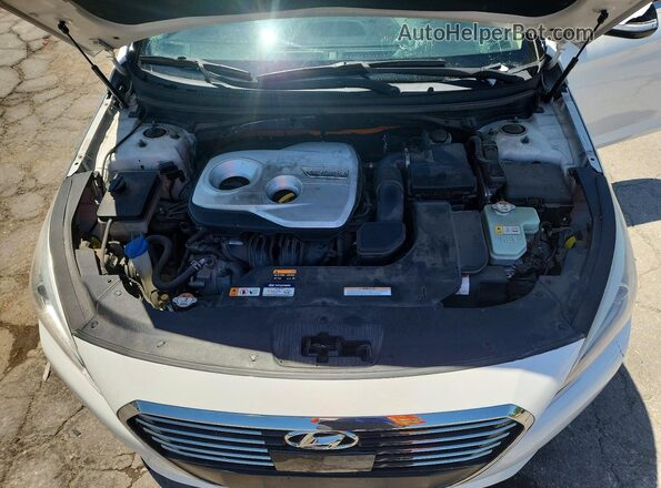 KMHE34L1XGA018739 2016 HYUNDAI SONATA Белый Вид задней части салона