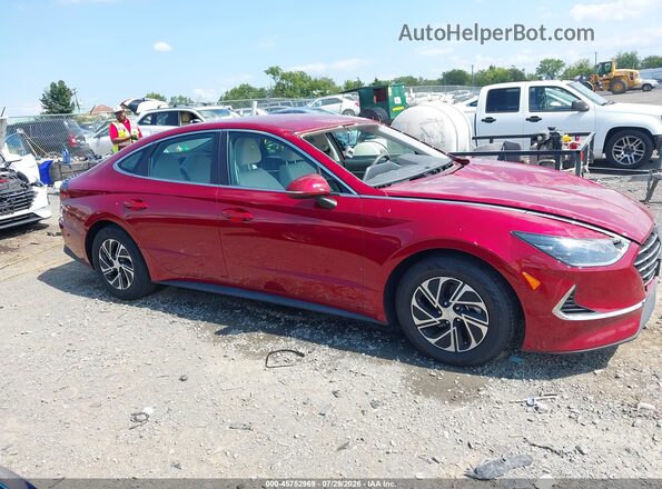 KMHL24JJ4PA075077 2023 HYUNDAI SONATA HYBRID Red Widok wnętrza z tyłu