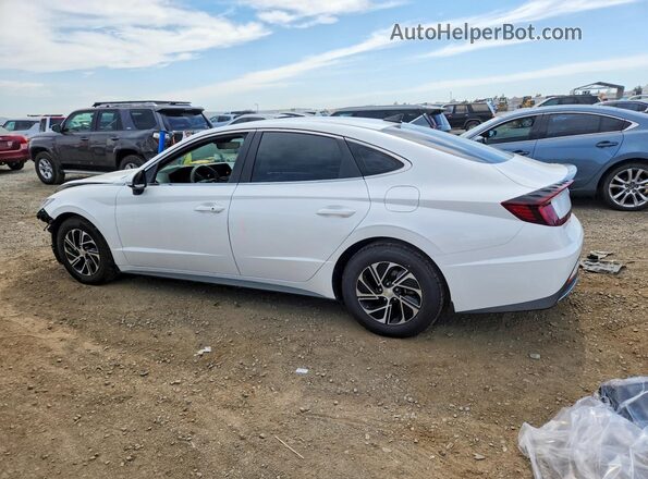 KMHL24JJ5LA009664 2020 HYUNDAI SONATA White უკანა მარცხენა