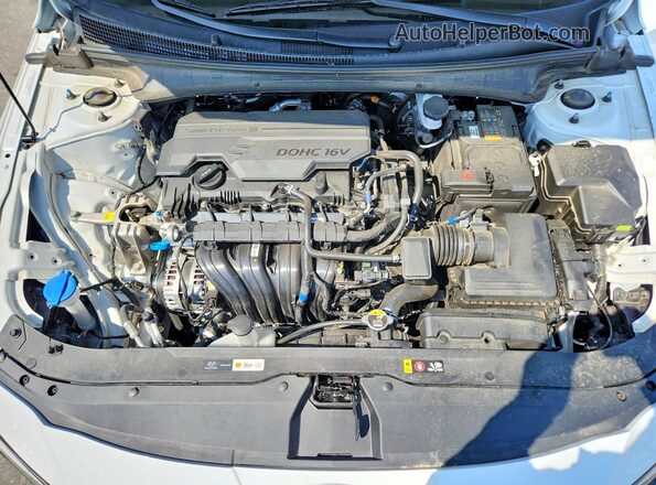 KMHLL4DG0SU036104 2025 HYUNDAI ELANTRA Белый Вид задней части салона