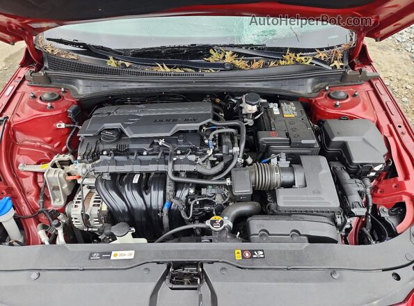 KMHLL4DG4RU842683 2024 HYUNDAI ELANTRA Red Vista interior trasera
