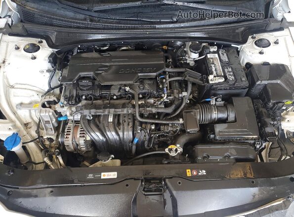 KMHLL4DGXSU853967 2025 HYUNDAI ELANTRA White Սալոնի հետևի տեսք