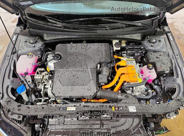 KMHLM4DJ4TU209519 2026 HYUNDAI ELANTRA Серый Вид задней части салона