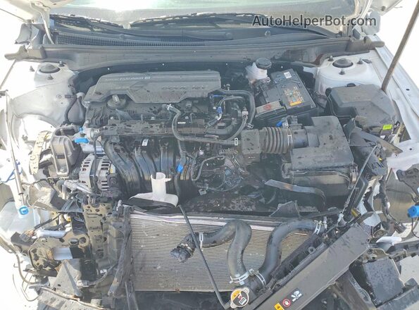 KMHLS4DG0SU931000 2025 HYUNDAI ELANTRA White Widok wnętrza z tyłu