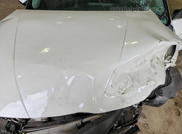 KMHLS4DG1RU770053 2024 HYUNDAI ELANTRA White Вид задньої частини салону
