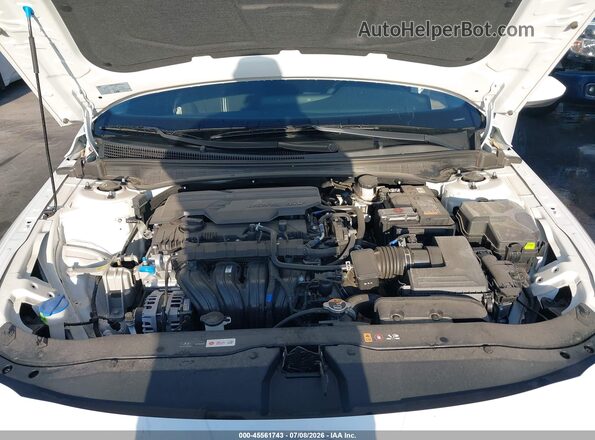 KMHLS4DG2SU901710 2025 HYUNDAI ELANTRA Белый Вид сзади