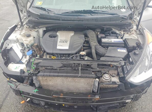 KMHTC6AE3GU290024 2016 HYUNDAI VELOSTER Silver Вид задньої частини салону