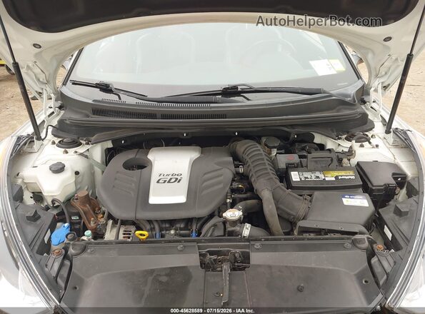 KMHTC6AE4GU273975 2016 HYUNDAI VELOSTER White Rear view