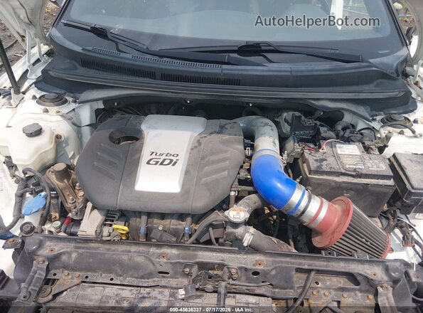 KMHTC6AE5GU279557 2016 HYUNDAI VELOSTER White უკანა ხედი