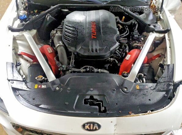 KNAE35LC3L6078383 2020 KIA STINGER White Սալոնի հետևի տեսք