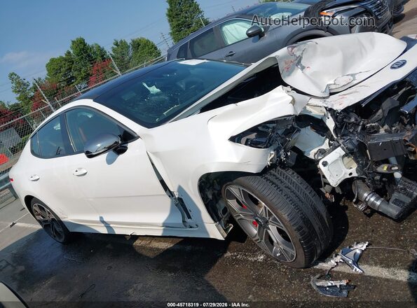 KNAE45LC6L6081436 2020 KIA STINGER White Սալոնի հետևի տեսք