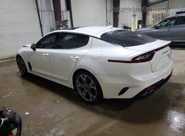 KNAE55LC3L6079317 2020 KIA STINGER White უკანა მარცხენა