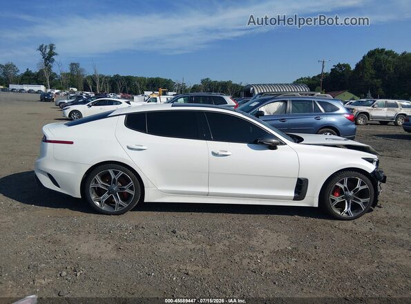 KNAE55LCXM6088677 2021 KIA STINGER Белый Вид задней части салона