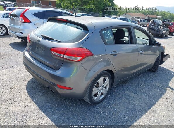 KNAFK5A89G5585404 2016 KIA FORTE Gray Tył prawy