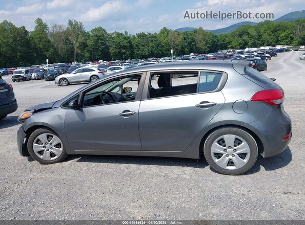 KNAFK5A89G5585404 2016 KIA FORTE Gray 
