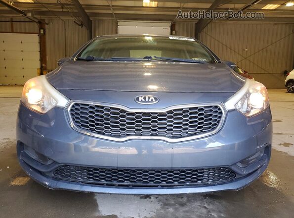 KNAFX4A66G5570000 2016 KIA FORTE Серый Вид спереди