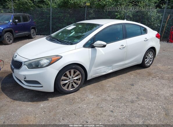 KNAFX4A67G5491998 2016 KIA FORTE Белый Передняя левая четверть