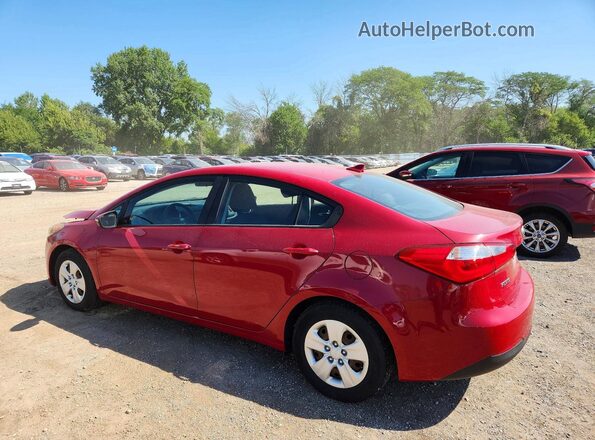 KNAFX4A69G5512821 2016 KIA FORTE Burgundy Tył lewy