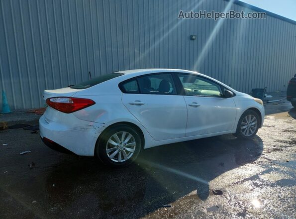 KNAFX4A6XG5592646 2016 KIA FORTE Белый Задняя правая четверть