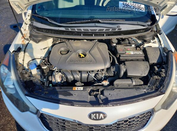 KNAFX4A6XG5592646 2016 KIA FORTE Белый Вид задней части салона