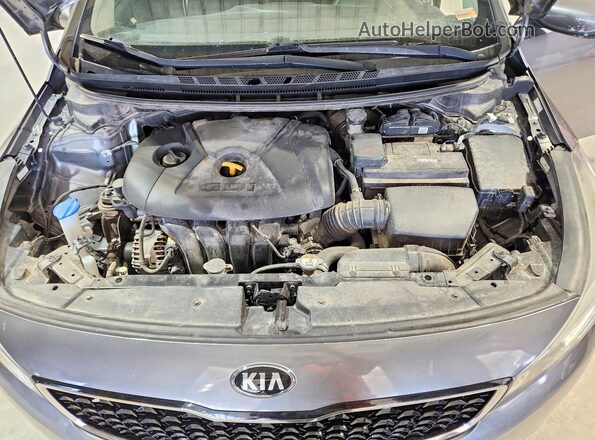 KNAFX5A81H5721138 2017 KIA FORTE Gray Vista interior trasera