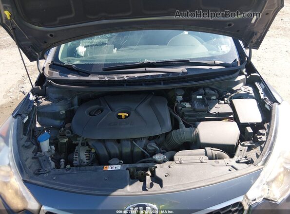 KNAFX5A8XG5598504 2016 KIA FORTE Серый Вид сзади