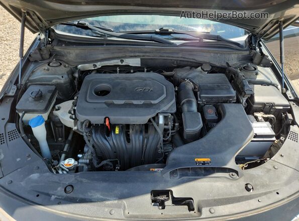 KNAGT4L36G5084256 2016 KIA OPTIMA Серый Вид задней части салона