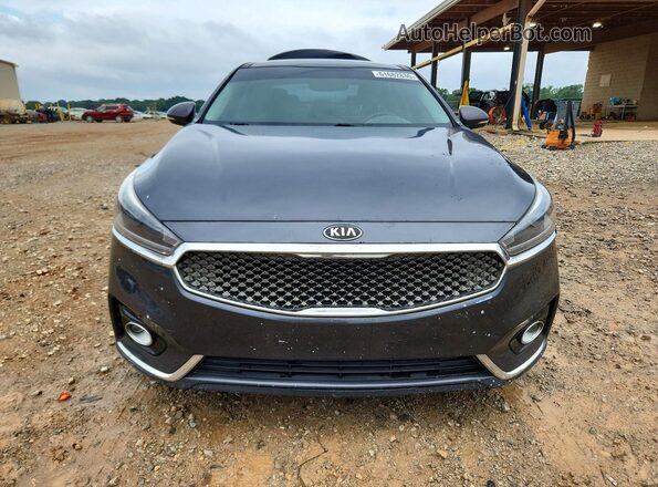 KNALC4J14H5085584 2017 KIA CADENZA Gray Դիմացի տեսք