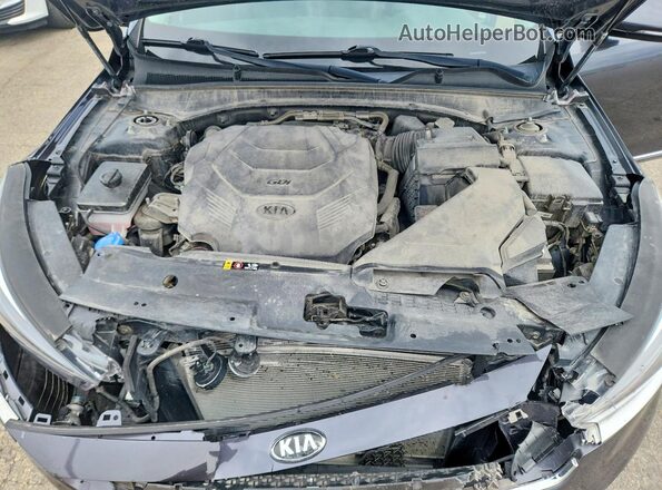 KNALC4J15H5058507 2017 KIA CADENZA Серый Вид задней части салона