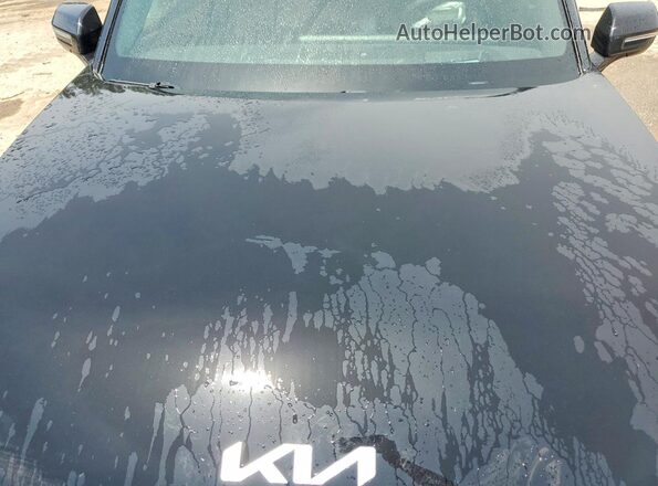 KNDAEFS51R6022438 2024 KIA EV9 Black Engine compartment view