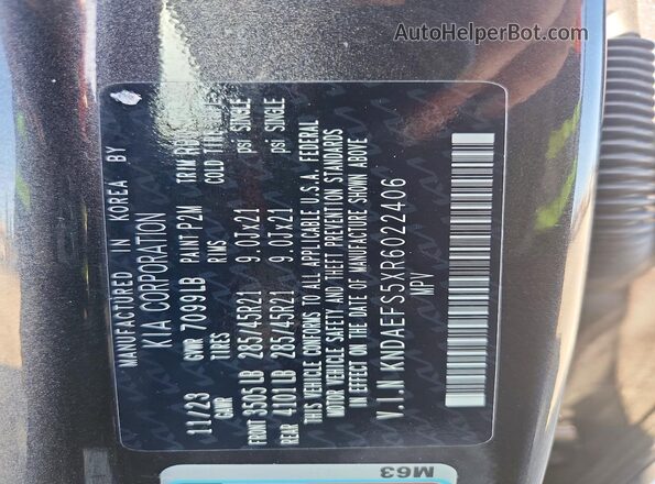 KNDAEFS5XR6022406 2024 KIA EV9 Серый Вид наклейки с VIN-кодом