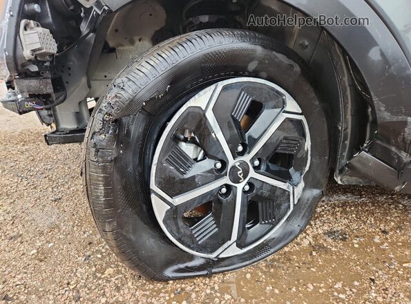 KNDCP3LE3T5346911 2026 KIA NIRO Серый 