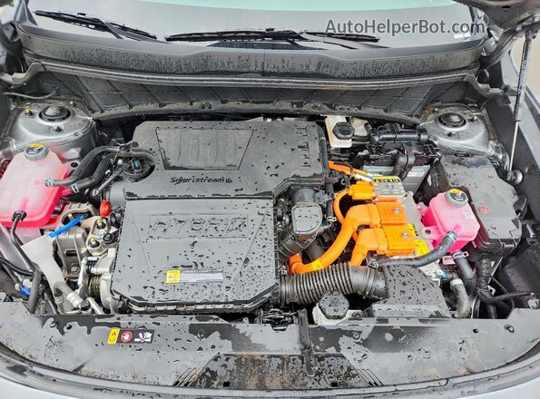 KNDCP3LE4T5318129 2026 KIA NIRO Gray Սալոնի հետևի տեսք
