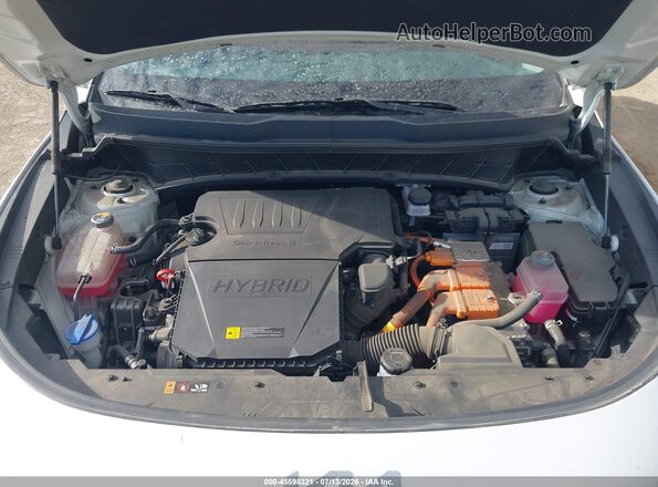 KNDCP3LE9R5146981 2024 KIA NIRO Белый Вид сзади