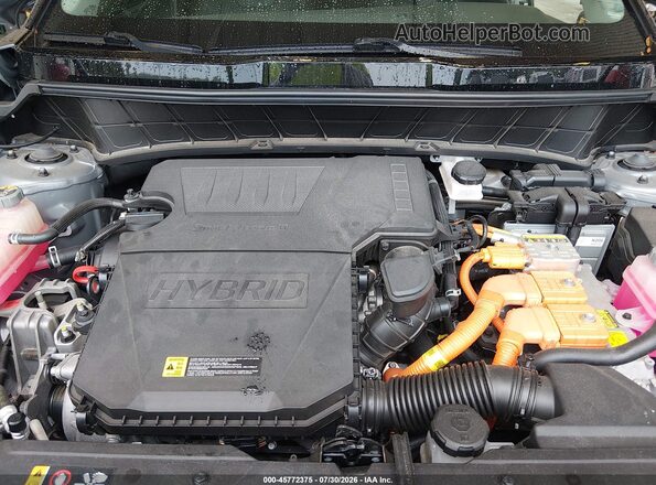 KNDCT3LE3P5035139 2023 KIA NIRO Серый Вид сзади