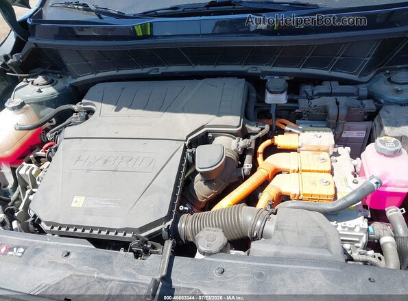 KNDCT3LE3P5095731 2023 KIA NIRO Green Հետևի տեսք