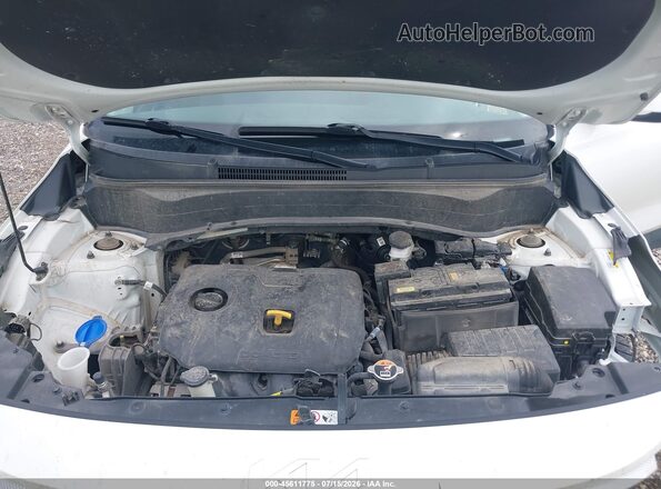 KNDEPCAA7P7448263 2023 KIA SELTOS White Widok z tyłu