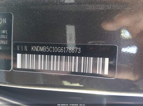KNDMB5C10G6178673 2016 KIA SEDONA Dark Brown Vista del compartimento del motor