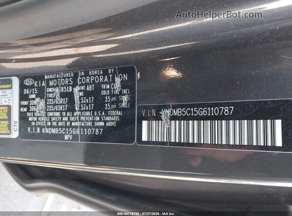 KNDMB5C15G6110787 2016 KIA SEDONA Gray Vista del compartimento del motor