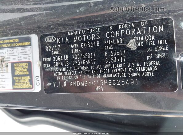 KNDMB5C15H6325491 2017 KIA SEDONA Gray ძრავის განყოფილების ხედი