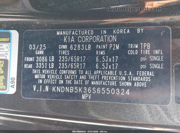 KNDNB5K36S6550324 2025 KIA CARNIVAL MPV Gray Vista del compartimento del motor