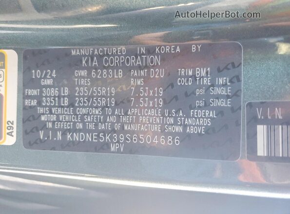 KNDNE5K39S6504686 2025 KIA CARNIVAL Серый Панорамный вид салона 360°